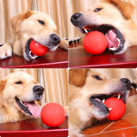 Bola De Goma Dura Para Perros Resistente Al Masticar Y Juguetes De Entrenamiento Para Jugar Y Buscar Bola TPR Bouncy Para Mascotas - details 1