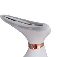 Máquina De Eliminación De Arrugas Del Cuello Y Rostro Masajeador Vibratorio De Vuelta Con 3 Colores De Luz Rejuvenecimiento De La Piel Dispositivo De Belleza USB Recargable - details 1
