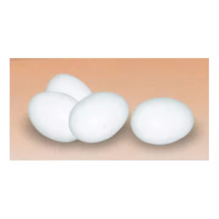 Gaun - HUEVOS PLASTICO GALLINAS - 1
