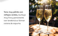 Cava Parxet Brut - DO Cava - Caja 6 botellas 75cl - details 3