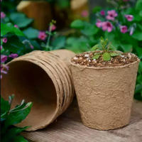 Macetas de turba biodegradables para plántulas de interior, 50 piezas, tazas Para plantar plantas, arrancador de semillas para vegetales o hierbas - details 7