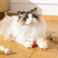 Juguetes Para Gatos Elásticos Y Divertidos Bolas De Silicone Para Morder Y Agarrar Juguetes Creativos Y Seguros Para Mascotas - details 0