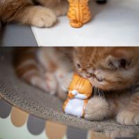 Caja Misteriosa De Gato Miniatura Expresiones De Enojo Y Estrés Juguete Divertido Para Niños Regalo De Cumpleaños O Navidad - details 8