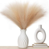 10PCS Pampas Artificial Para Decoración De Casamiento Y Hogar Accesorios De Flores Para Vaso Y Decoración De Habitación Estilo De Planta Silken - details 5
