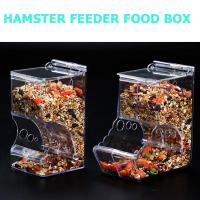 Dispensador De Alimentos Para Mascotas Pequeñas Como Hamsters Conejos Y Ardillas Plástico Transparente Alimentador Automático Para Hamsters Guineapicos - details 8