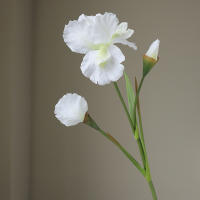 Rama De Iris Artificial Con 3 Cabezas Flores Silken Para Decoración De Mesa De Fiesta Decoración De Hogar Para Bodas Y Aniversarios - details 6