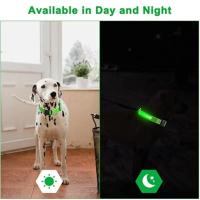 Collar LED Para Perros Ajustable Y Recargable Collar Nocturno Anti-Pérdida Para Pequeños Perros Productos De Mascotas - details 18