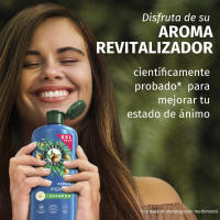 Herbal Essences Champú Reparador, Con Aceite De Argán Para Pelo Dañado. Hidratación Intensa. De Origen Natural. Sin Siliconas, Vegano, No Testado En Animales 6 Unidades - details 1