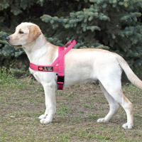 Harnés Reflectante Para Perro No Pull Táctico Militar Con Adhesivo Y Almohadilla Chaleco Para Mascota Pequeña Mediana Grande Para Pug Y Otros - details 12