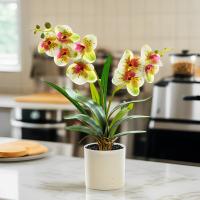 Orquídea Artificial Phalaenopsis En Maceta Planta Verde Para Jardín Oficina Hogar Bodas Y Decoración Interior Estilo Bonsái - details 3