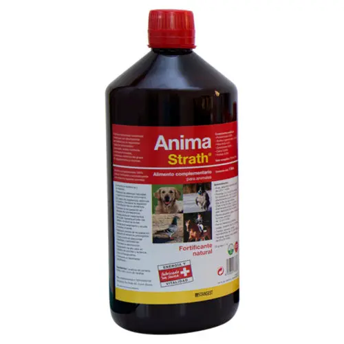 STANGEST - Anima Strath 1Litro - 1