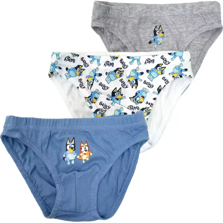 Pack 3 Slip de Niño Bluey, Ropa Interior Niños de 2 a 6 años Bluey y Bingo, Calzoncillos Infantiles 100% Algodón, Regalo Cumpleaños, Navidad, Reyes - 1