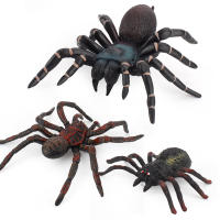 Figura De Acción Simulación De Araña Tarántula Negra Para Juegos De Halloween Juguetes Educativos Divertidos Y Terroríficos Para Adultos Y Niños - details 4