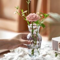 Vaso De Flora De Vidrio Transparente Estilo Europeo Mini Para Plantas Hidroponicas Decoración De Escritorio Para Casa Y Boda - details 9