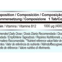 Vitamina B12 Sublingual - 1000 mcg - 365 tabletas - Sabor Cereza - Vitamina B12 - Vitamina B12 vegana - Vitamina B12 Cianocobalamina - Vitaminas B12 - Suplemento Vitamina B12 - details 0