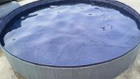 PETIC - Φ160 x 30cm PISCINA REFRESCANTE  PARA PERROS GRIS - details 0