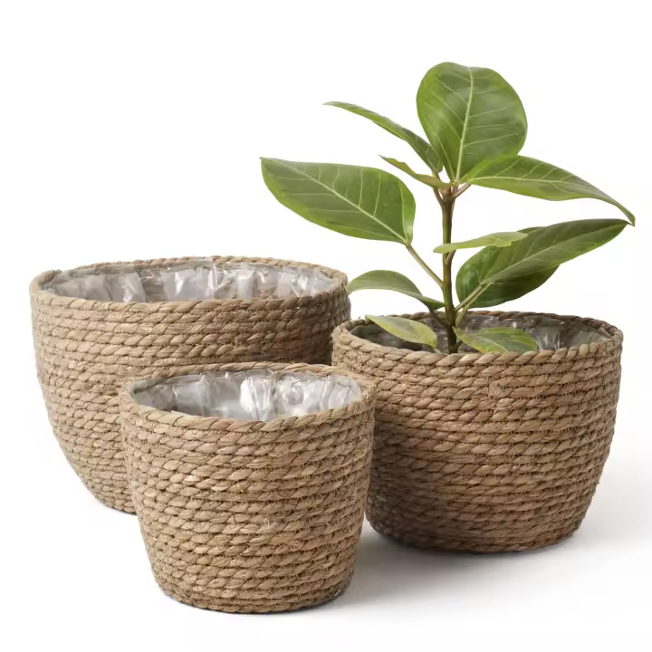 Conjunto de 3 Cestas de Algas Marinas para Plantas de Interior - Contenedores Naturales para Macetas de Hierbas Marinas Resistentes - Multifuncionales y Ecológicas - 1