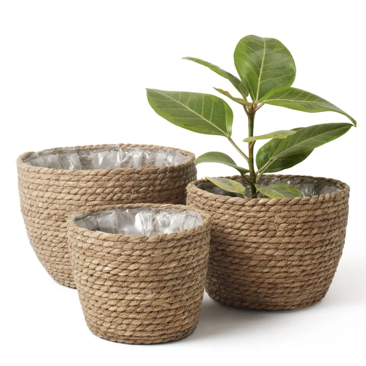 Conjunto de 3 Cestas de Algas Marinas para Plantas de Interior - Contenedores Naturales para Macetas de Hierbas Marinas Resistentes - Multifuncionales y Ecológicas - 1