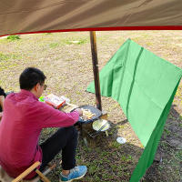 Escudo De Viento Para Estufa De Camping Pantalla De Viento Para BBQ Al Aire Libre Equipo De Camping Resistente Al Viento Herramienta De Cocina Para Madera De Fuego - details 16