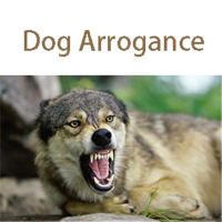 Máscara Para Perros De Nylon Anti Ansiedad Accesorio Para Peluquería Y Viaje Capa Calmante Para Mascotas Blindfold Pet - details 1