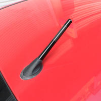 Antena De Techo Para Coche 12CM Fibra De Carbono Receptor Antena Corta Para Ford Focus 1 2 3 4 MK1 MK2 MK3 MK4 Mondeo EcoSport Ranger - details 2