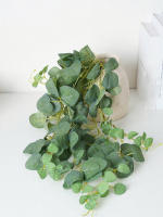 Eucalipto Rattan Plantas Artificiales Vine Hoja Verde Seda Ivy Colgante Para Decoración De Hogar Boda Fiesta En La Pared - details 4