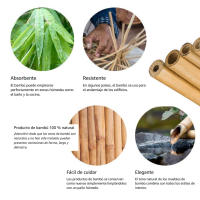 12 Varillas de Bambú Natural 180 cm, Ø1.2-1.4cm - Tutores para Plantas, Soporte Tomates/Judías, Decoración Estilo Asiático, Atrae Abejas, 100% Ecológico, Uso en Jardín/Huerto/Interiores - details 3