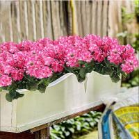 Plantas Artificiales Silken Begonia Para Bodas Decoración De Hogar Y Navidad Regalo DIY De Flores Silken En Vaso Para Ventanas Y Paredes - details 13