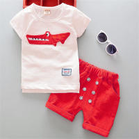 Ropa De Verano Para Bebés Niñas Conjunto De 2 Piezas Con Camiseta Y Shorts Estilo Casual Unisex Talla Ajustada Para Niños Y Niñas - details 3