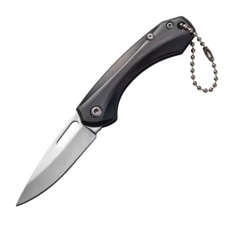 Cuchillo Plegable De Acero Inoxidable Para Exteriores Portátil Para Acampar Y BBQ Multipropósito Cuchillo Para Carne Y Frutas - 1