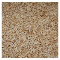 Vinci Avena Pelada para Canarios - Nutrición Saludable para Épocas de Cría y Muda - details 0