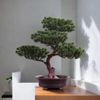 Arbusto De Bonsái Artificial En Maceta Decoración De Escritorio Robusta Para Terraza Y Ventanasillar Multipropósito - details 3