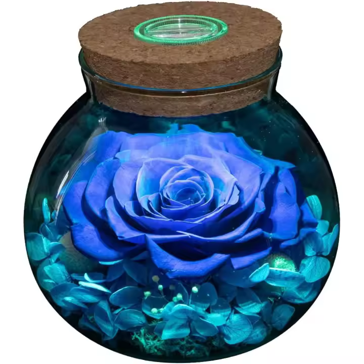Rosas reales conservadas con coloridas botella de deseo de Luz de humor, Eternal Rose, nunca se hundiaron Flores - 1
