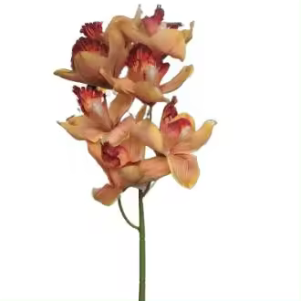 Cybidium artificial 72cm Amarillo Blanco Dino - 1
