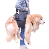 Silla Portátil Para Perro Soporte De Piernas Traseras Y Cadera Para Ancianos Y Perros Llorosos Ayuda En La Rehabilitación Y Levantamiento - details 6