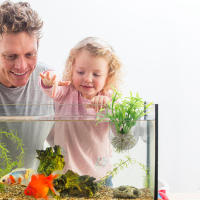 8 Pcs Planta Acuática Colgante Para Acuario Con Agujero Y Peso Copos De Nieve De Acrílico Decoración Para Tanque De Peces - details 7