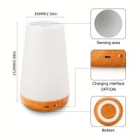 Lámpara Nocturna Recargable RGB De 13 Colores Con Control Remoto Y Toque USB Luz De Noche Portátil Para Mesa Y Cama Dimmable - details 8