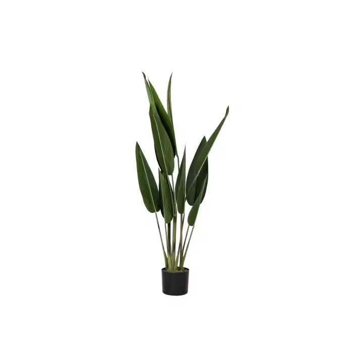 Planta Pe 40X40X115 Ave Del Paraiso Verde El mejor complemento para tu hogar  -Fijalo- - 1