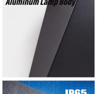 Lámpara De Pared LED 6W 10W IP65 Impermeable Aluminio Para Exterior Iluminación De Jardín Puerta Y Porche Luz Moderna Nórdica Interior 85-265V - details 21