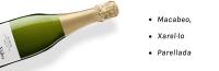 Codorníu Prima Vides - Cava Brut Ecológico - Caja 6 botellas 75cl - details 2
