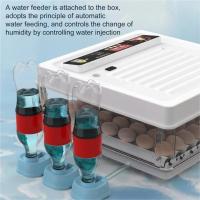 Miniincubadora de huevos 24/36 con cajón,  totalmente automática, inteligente, para el hogar,  Incubadora de huevos reposición de agua, incubadora de control de temperatura digital - details 4