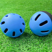 Bolas De Béisbol Para Principiantes De Plástico Con 16 Orificios Para Entrenamiento Interior Y Exterior Ligeros Y Con Flujo De Aire - details 4
