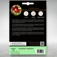 Semillas Flores Boca de Dragón (Antirrino) - Sobre 10 GR (Sobre Grande) - Semillas Profesionales Gourmet con flores comestibles y decorativas - Rocalba Semillas - details 2