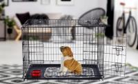 AREBOS Jaula para perros S Caja de transporte para perros Caja celosía plegable - details 1