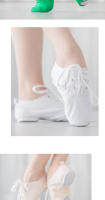 Unisex Canvas Ballet Jazz Shoes Lace up for Child and Adult Low Top Dance Shoes White Red Black Pink Camel Nude - details 7