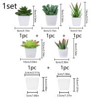 Juego De Macetas De Plástico Evergreen Para Decoración De Escritorio Y Oficina Estilo Suculentas Sin Mantenimiento Realista - details 26