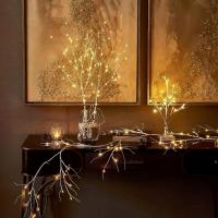 Rama De Birch Blanca Con 20 LED Luces Festivas Operadas Por Batería Para Decoración De Bodas Y Navidad Accesorio De Fiesta - details 1