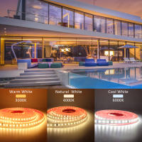 Tira De LED Flexible 220V IP68 Impermeable Con 120LEDs/m SMD 2835 yInterruptor on off EU Plug Para Iluminación Exterior - details 1
