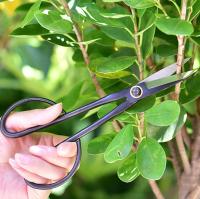 Tijeras De Bonsái Para Principiantes De 20.5cm Con Mango Largo Herramientas De Jardinería Para Podar Ramas Y Plantas - details 0