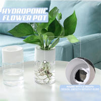 Maceta Hidroponía Miniatura Transparente Decoración Para El Hogar Vaso De Flores Sin Tierra Para Plantas Verdes Moderno Plástico - details 8
